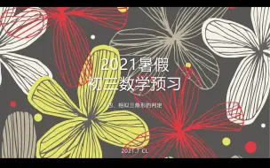 Download Video: 【陈老师讲课】2021暑假数学预习4 相似三角形判定（2集）