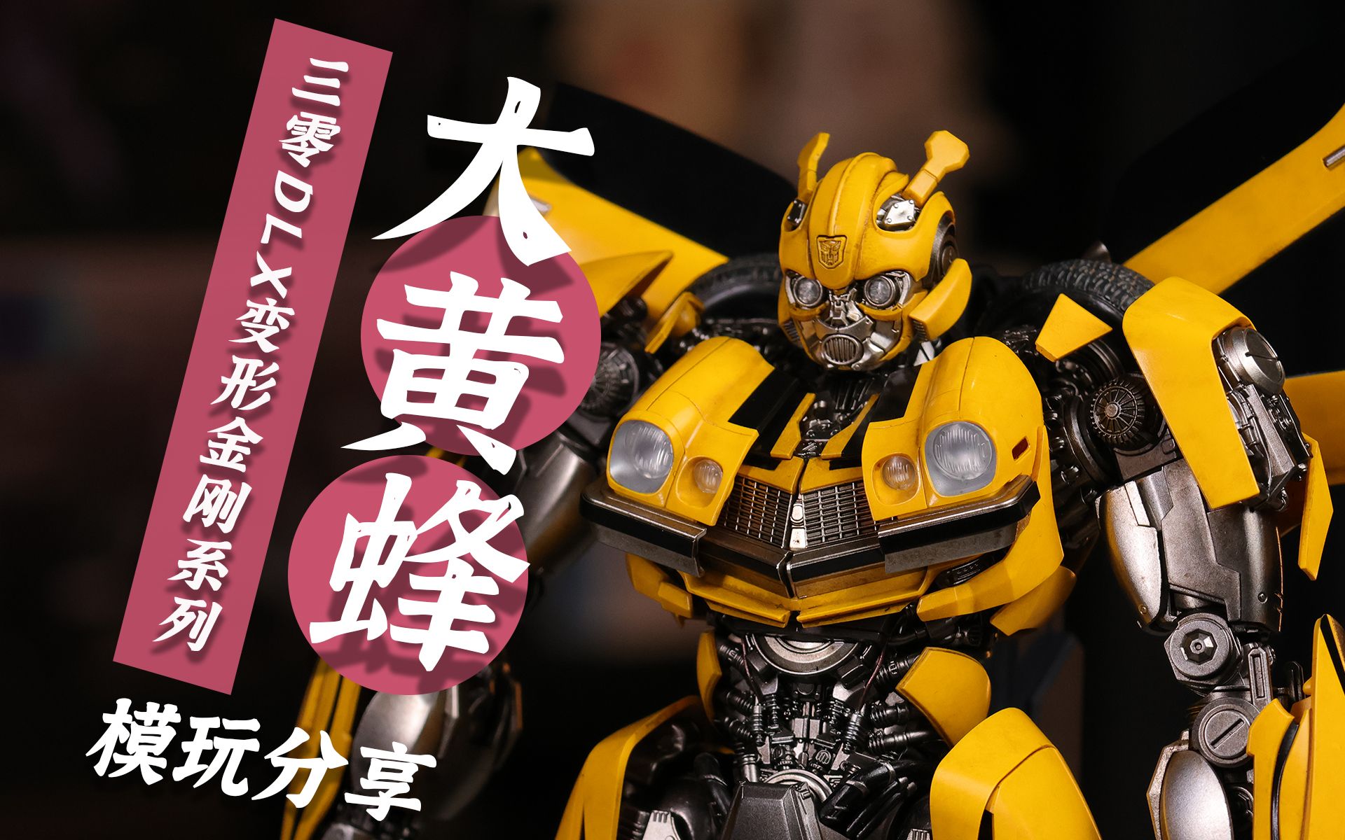 来体验一下1200块的大黄蜂 threezero dlx 变七 大黄蜂