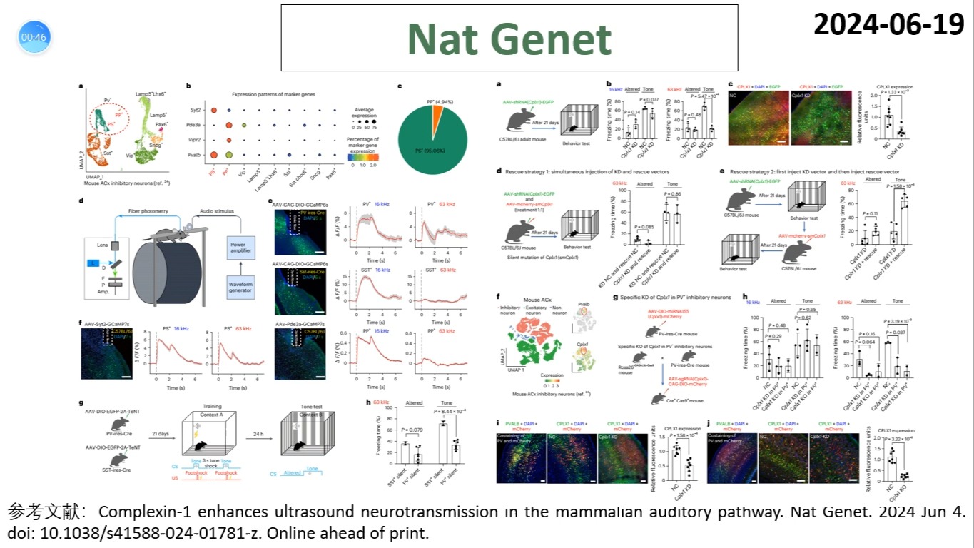 Nat Genet—哺乳动物感知超声波的奥秘:Complexin1是调控蝙蝠超声波感知能力的关键基因哔哩哔哩bilibili