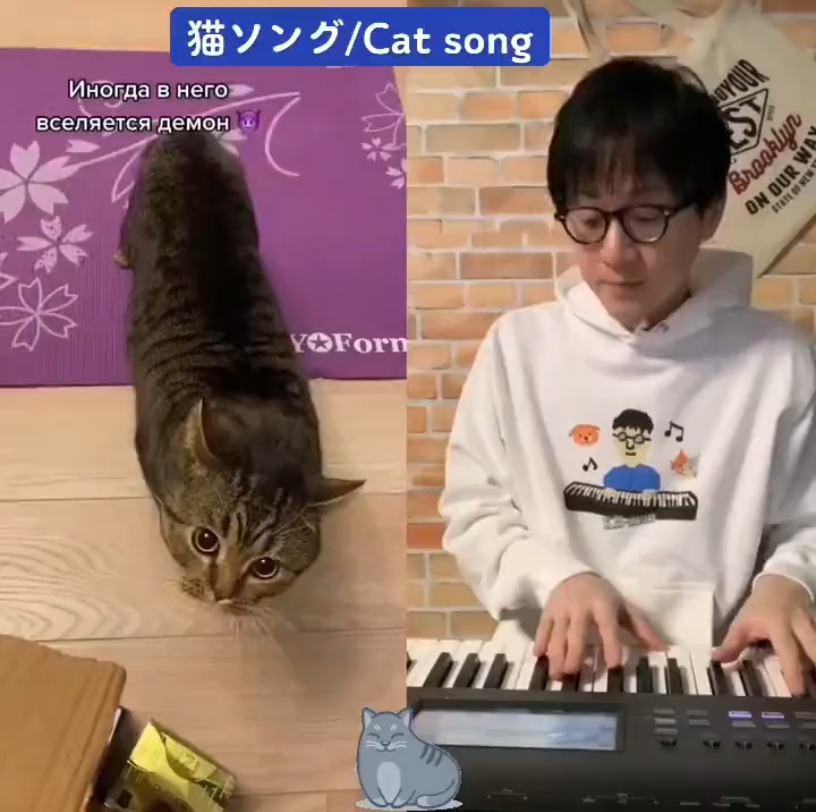 [图]日本作曲家的《猫猫生气之歌》