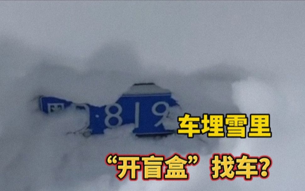 东北大雪车埋雪里,女子铲雪"开盲盒"找车