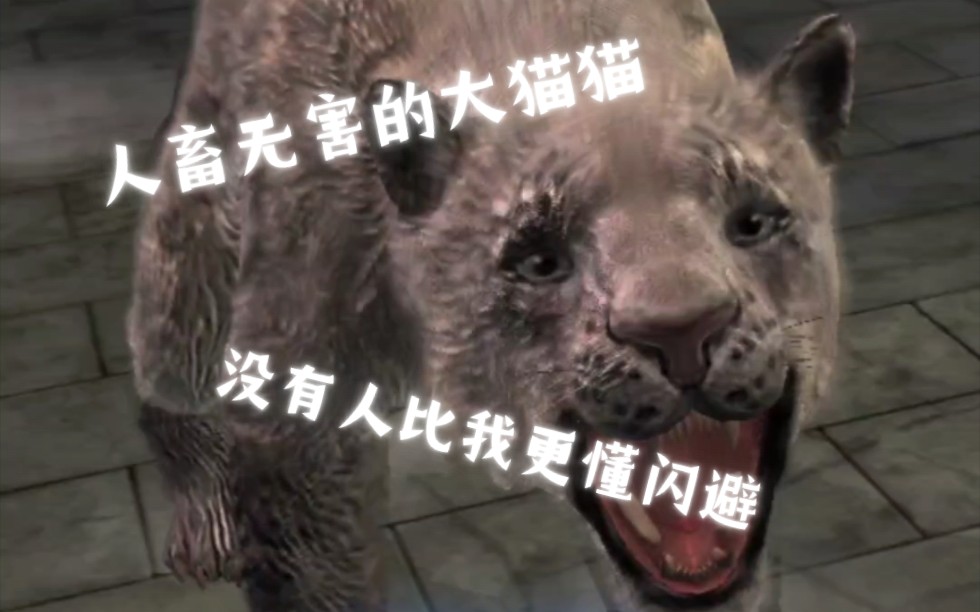 侏罗纪世界:适者生存 巨角布氏豹锦标赛第一期