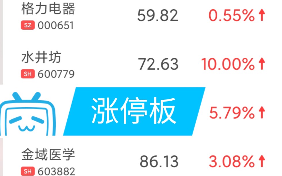 【高瓴资本07】持仓股涨停,牛市要来了吗?跟投高瓴资本收益分享支付宝基金哔哩哔哩bilibili