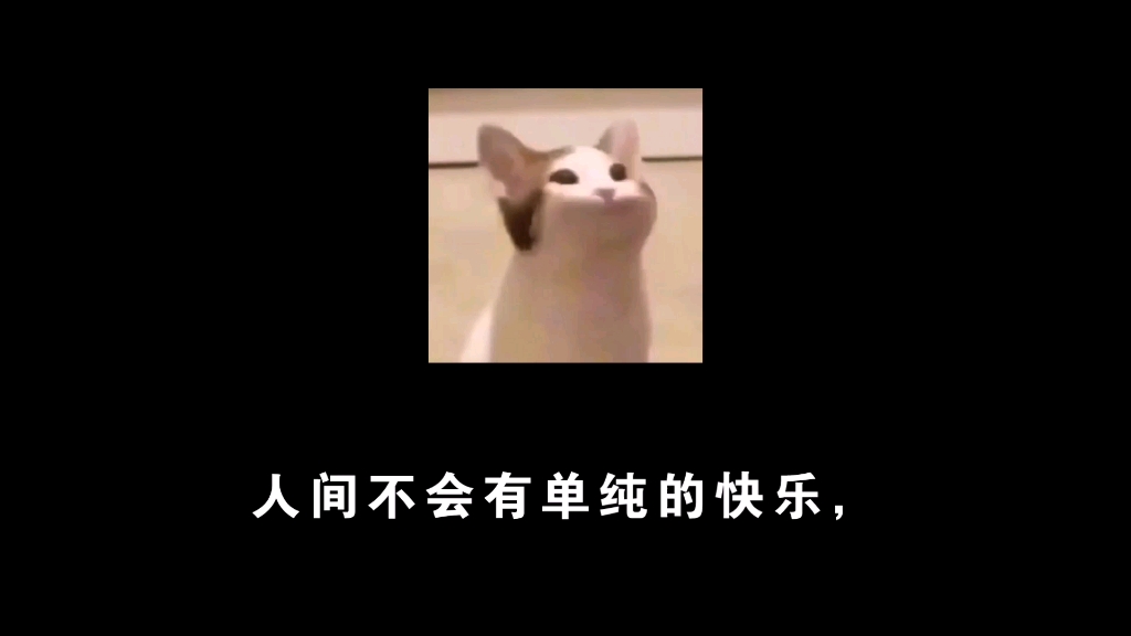 《我們仨》