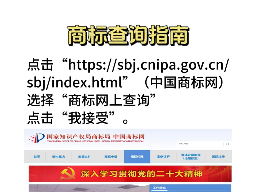 商标查询指南哔哩哔哩bilibili