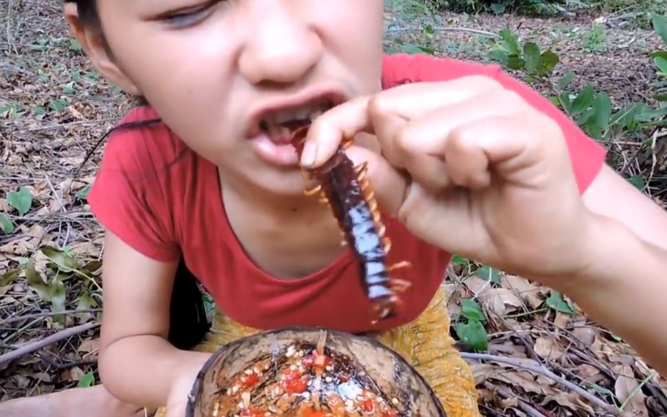 原始美食:越南兩位大姐野外烹飪美味大蟲子大蜈蚣!網友這蜈蚣真大