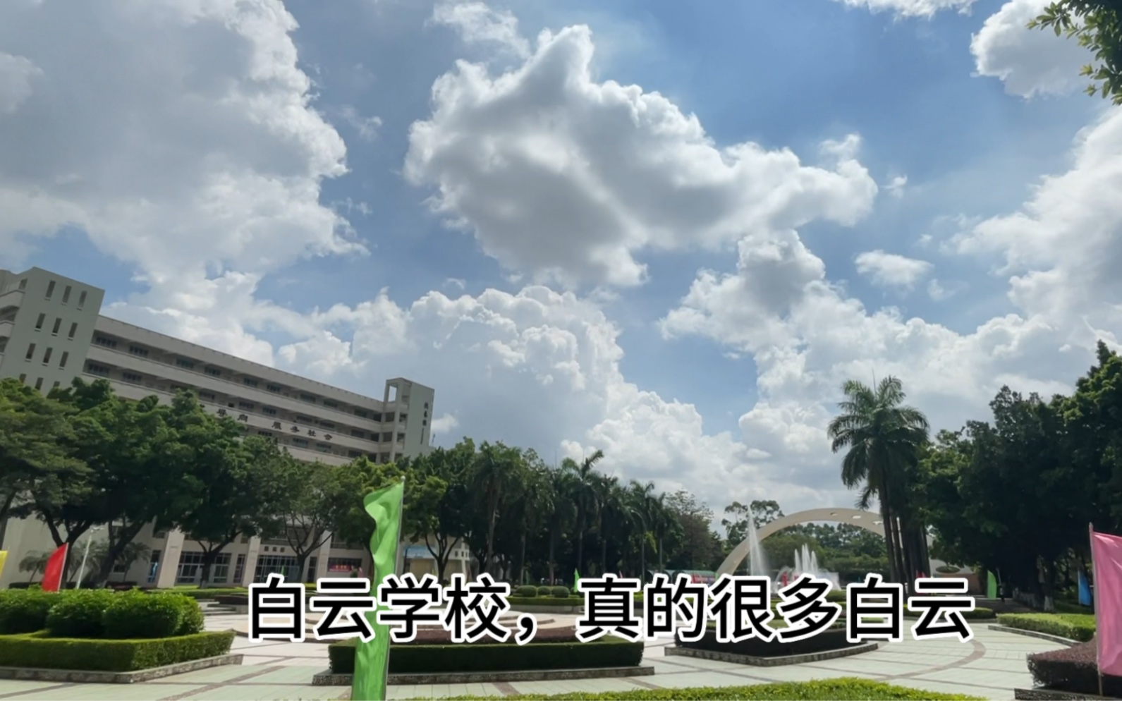 《广东白云学院》大学生日常生活哔哩哔哩bilibili