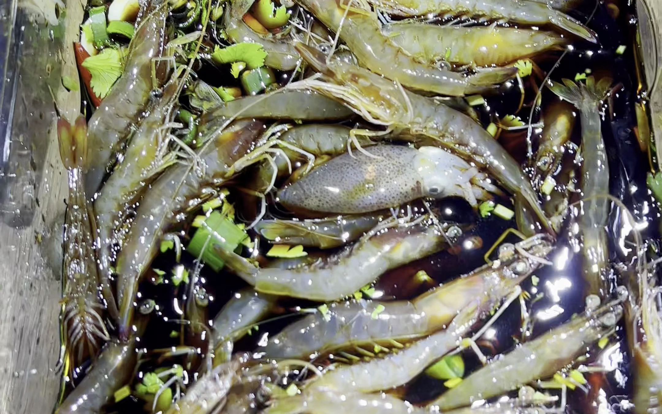 说到做到,你们要的生腌跳跳虾来了_哔哩哔哩_bilibili