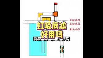 Download Video: 今天做个虹吸底滤样品测试，为后面大循环过滤做个准备工作