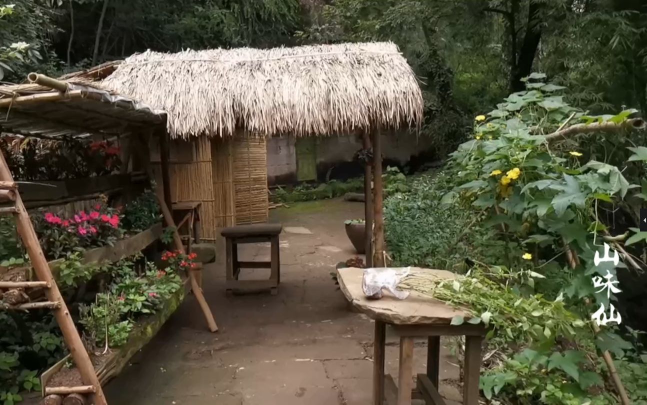 农村小伙隐居深山靠自己双手修建茅屋种各种菜你能做到吗