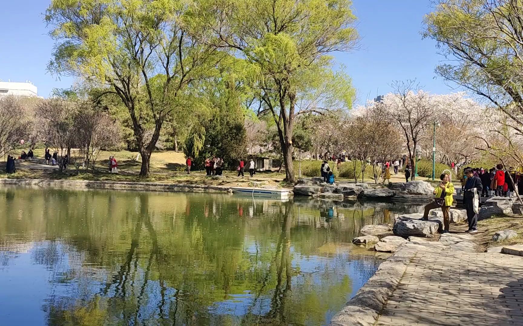 链接以下链接为影音视频"老艾游玩北京玉渊潭公园(二)"在线访问地址