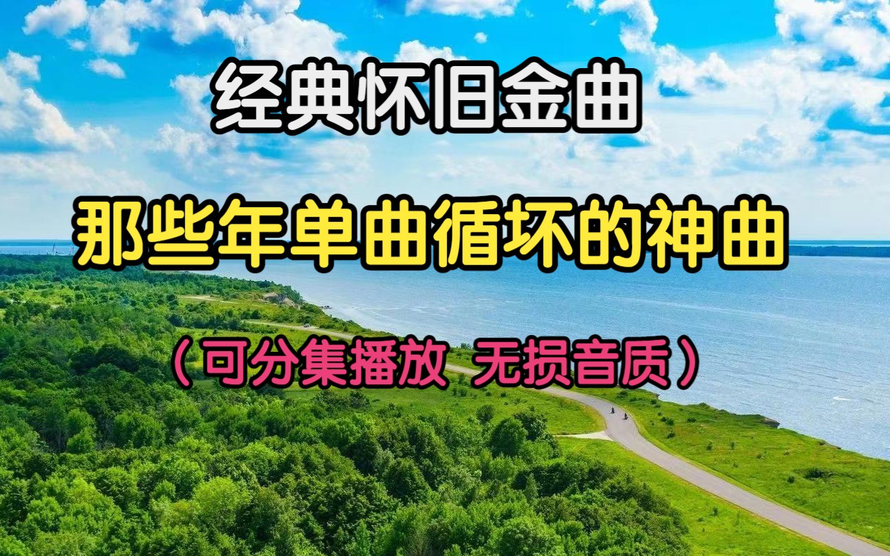 【100首无损经典老歌】精选100首歌曲合集、华语流行音乐、值得你收藏!!哔哩哔哩bilibili