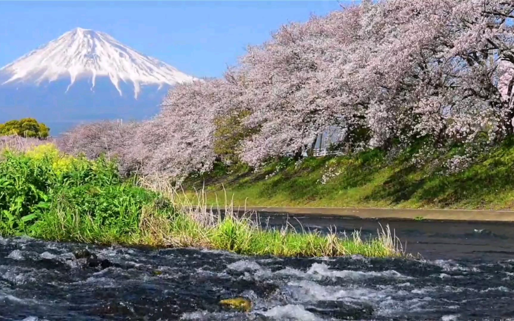 雪峰高耸,独领风骚 日月交辉,映照云霄哔哩哔哩bilibili