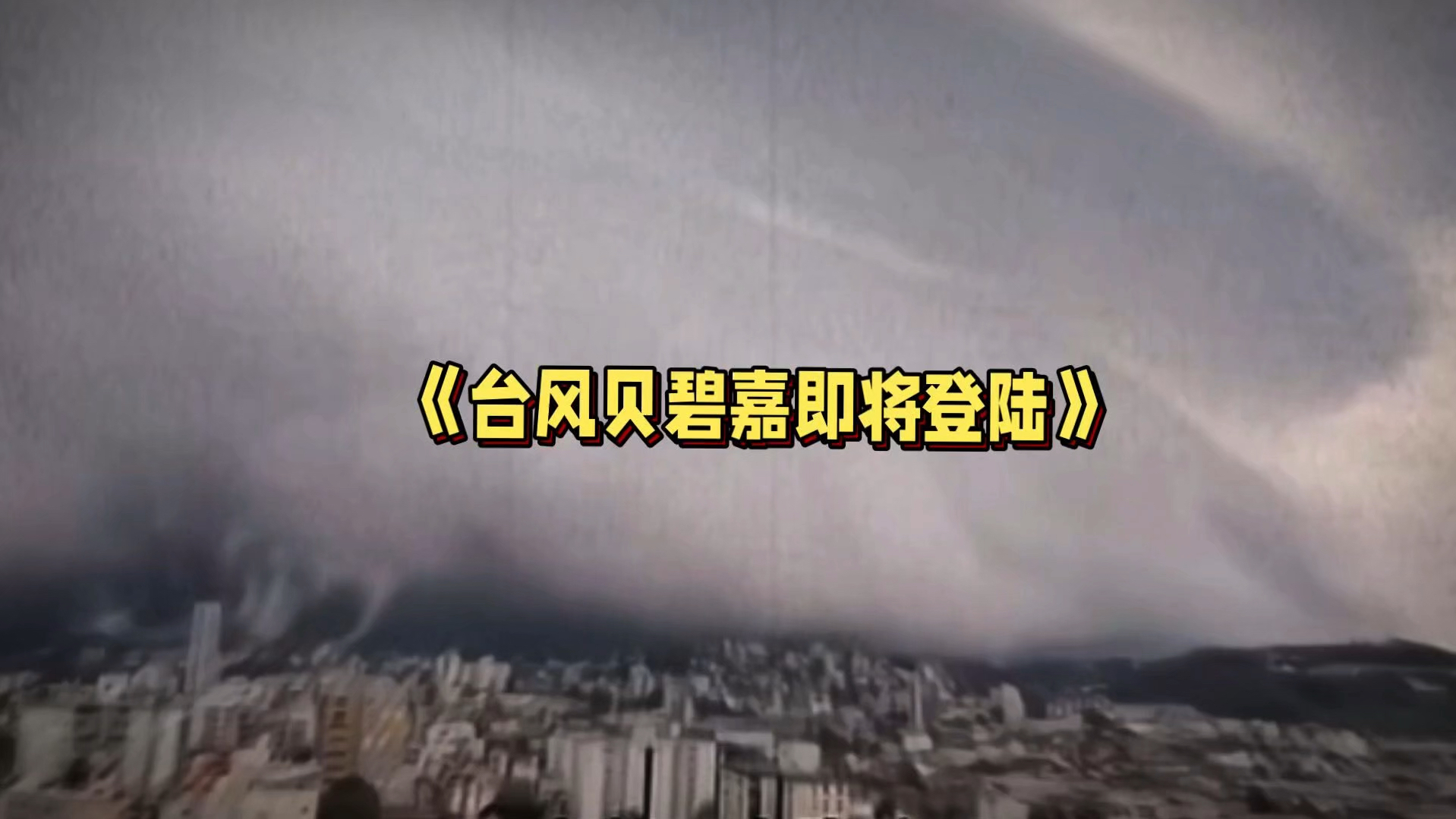 大型纪录片《台风贝碧嘉即将登陆》