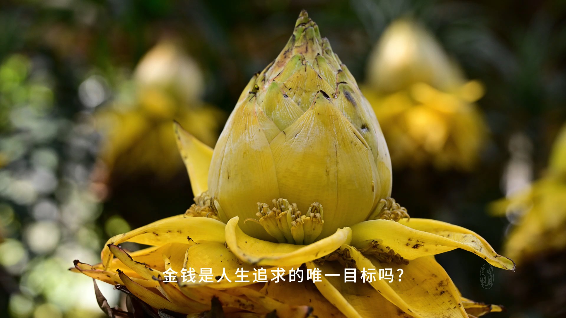 包含致富是人生的唯一目标吗为什么呢的词条