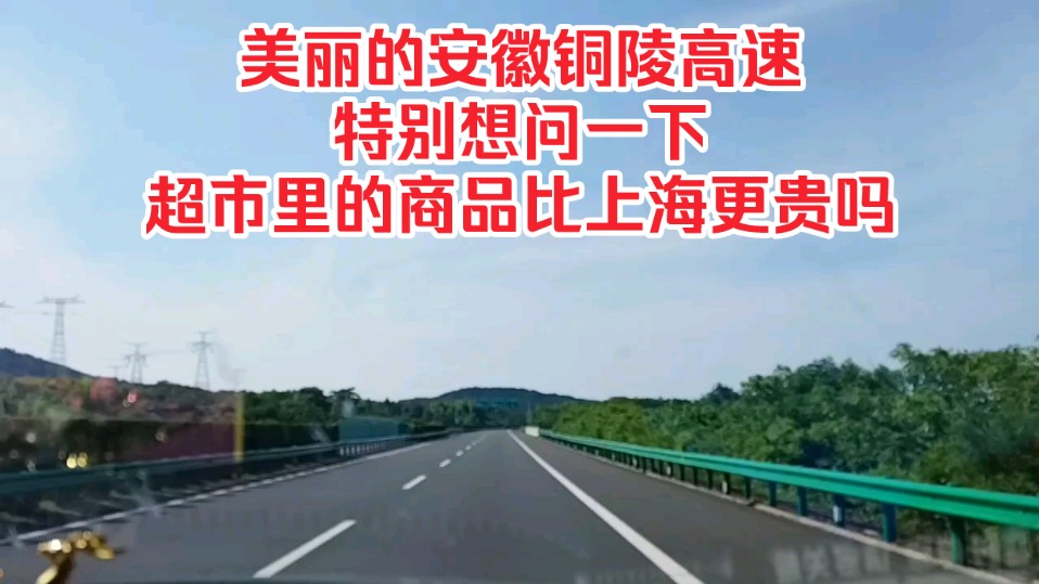 美丽的安徽铜陵高速,特别想问一下,超市里的商品比上海更贵吗?哔哩哔哩bilibili