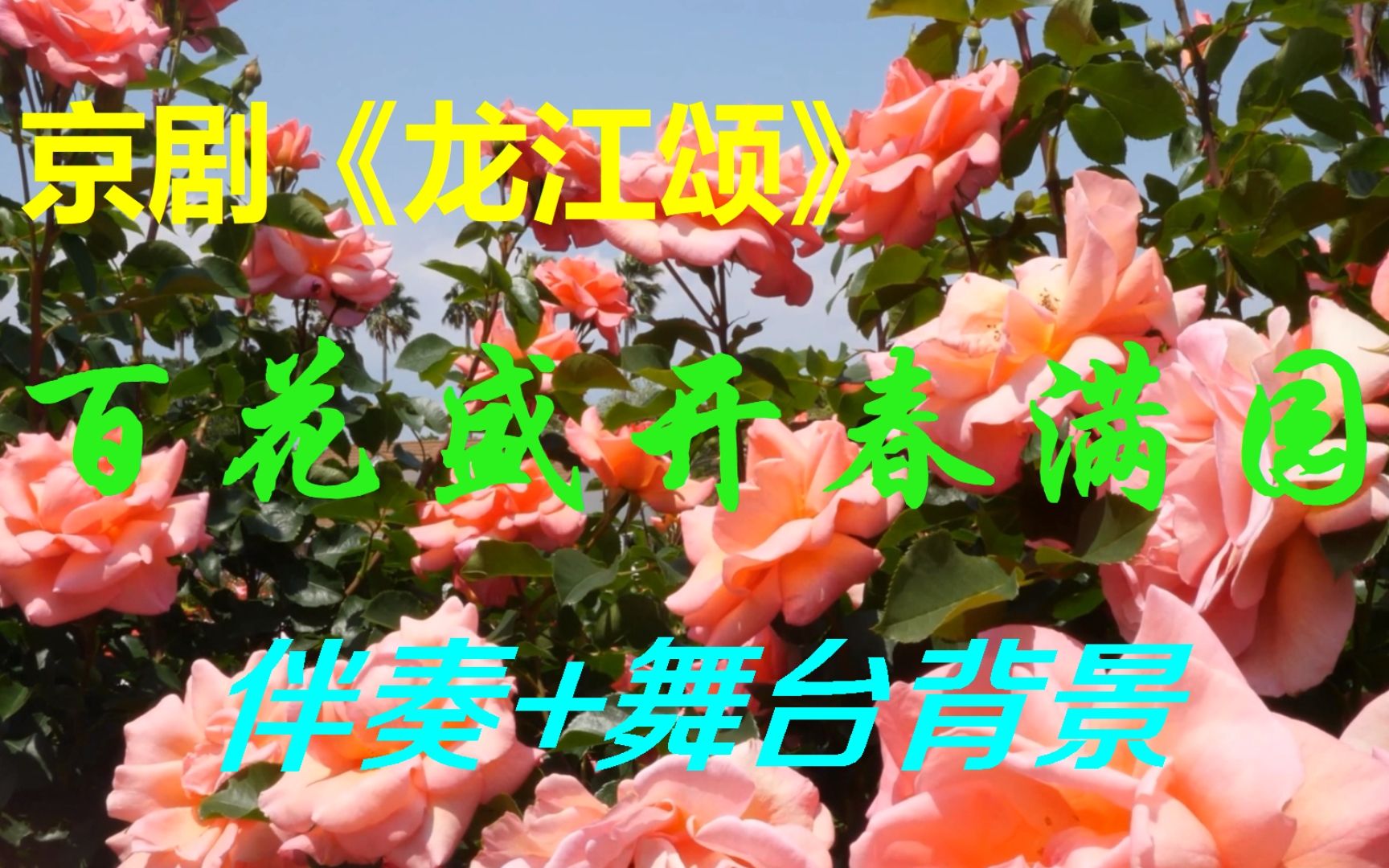 [图]京剧《龙江颂》百花盛开春满园(几年前) 伴奏 舞台背景