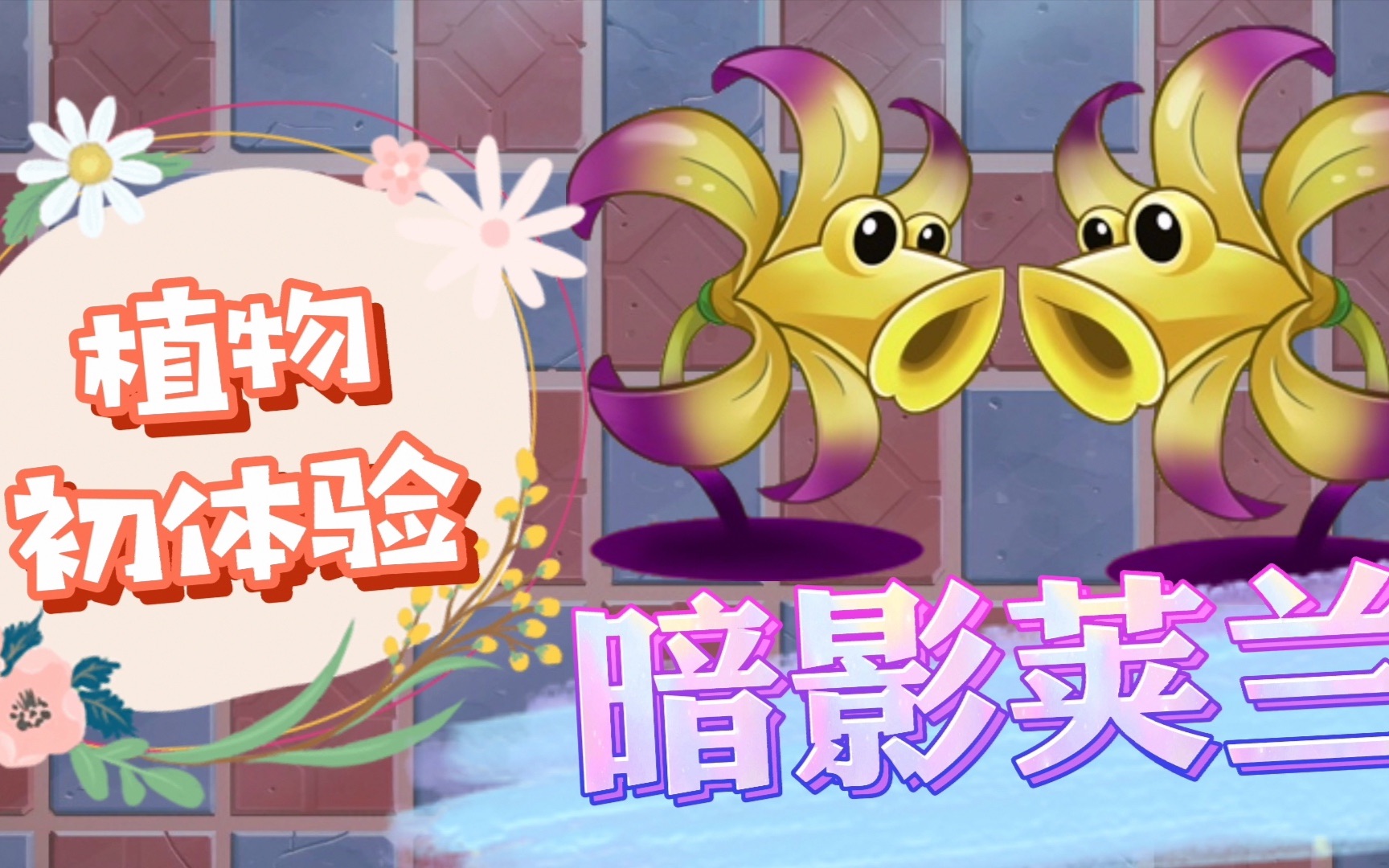 攻略内有免费暗影荚兰暗影荚兰百因必有果你的报应就是我