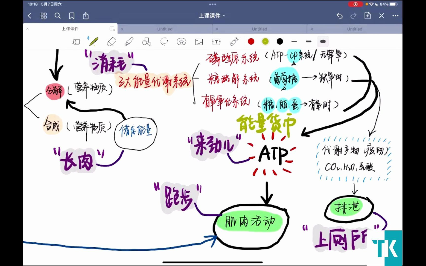 [图]23体育考研 图说运动生理学①—人体结构串讲