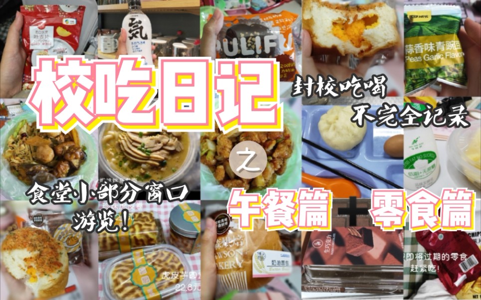 【校吃日记】揭秘备受好评的北二外食堂!午餐篇+零食篇|食堂 网购 便利店 封闭了学校封闭不了我的嘴!哔哩哔哩bilibili