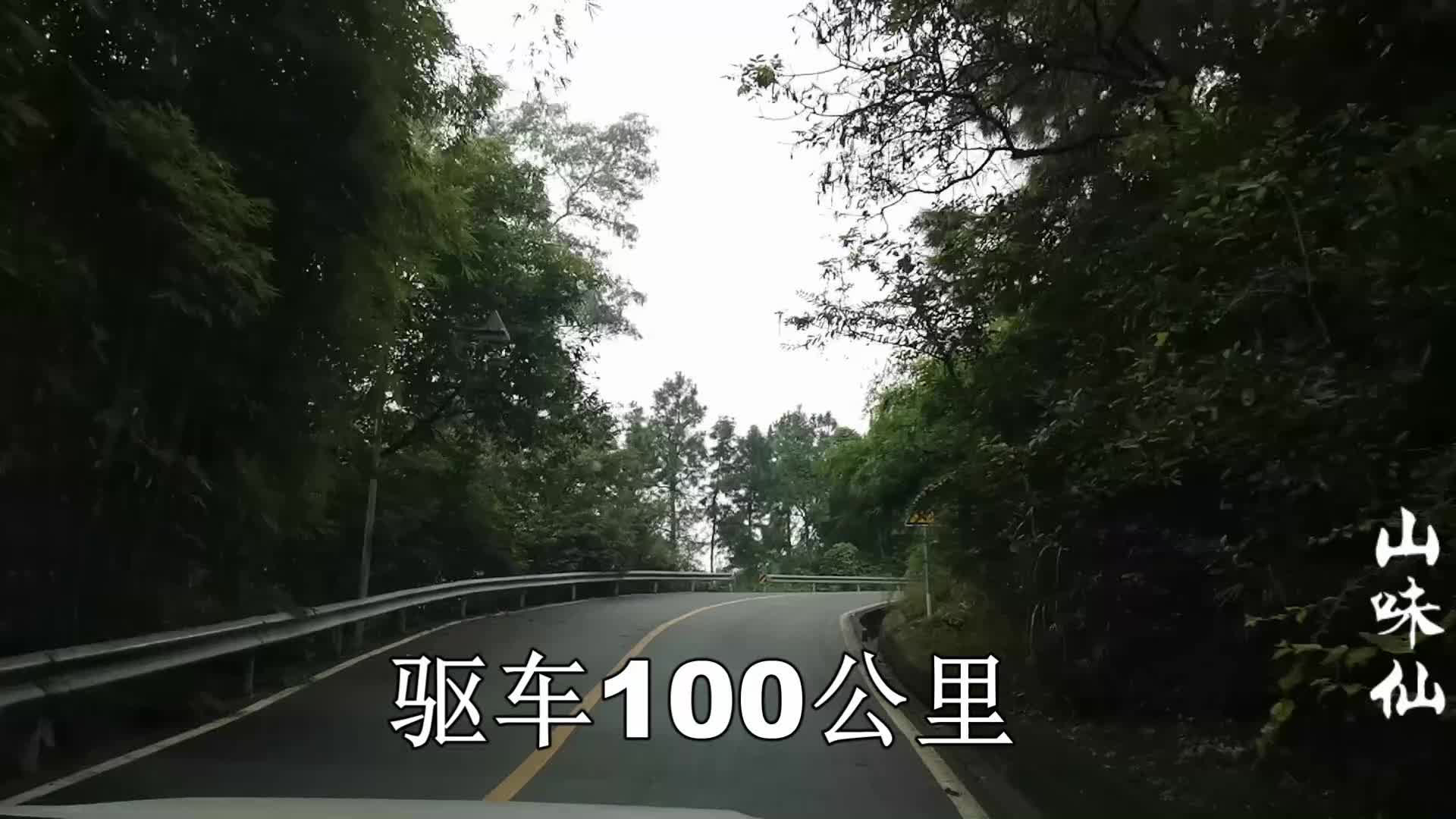 山味仙:驱车100公里进入深林,就为寻找一种绿植,到底是啥宝贝哔哩哔哩bilibili