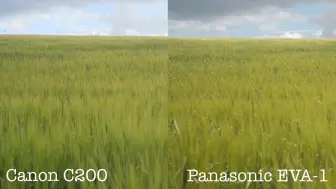 Скачать видео: 佳能Canon C200 对比 Panasonic EVA-1 （RAW）