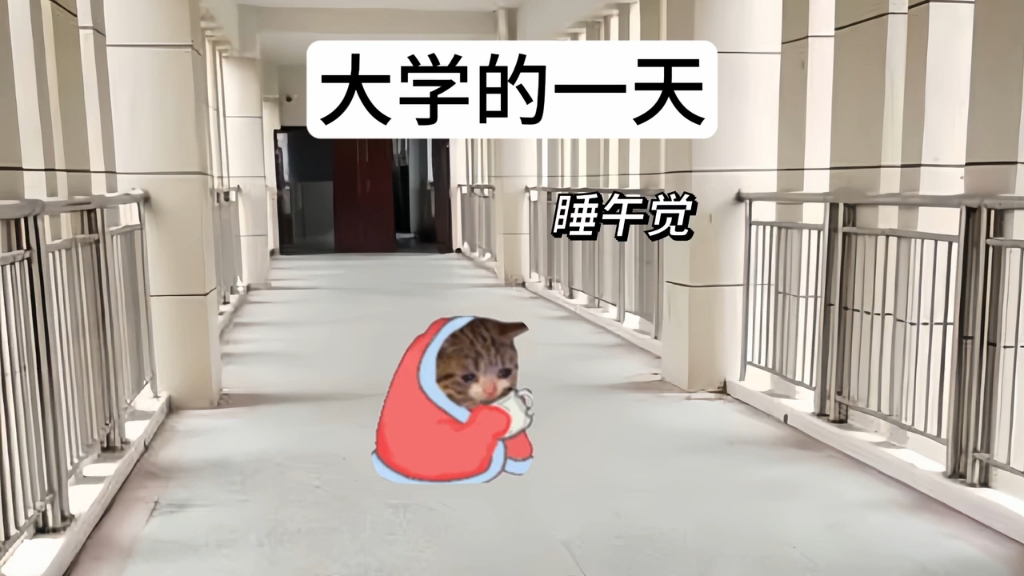 大学生在校的一天哔哩哔哩bilibili