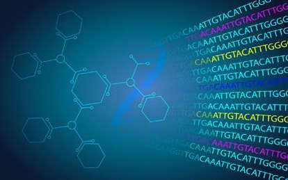 生物信息学数据库合集:PDB, genebank, embl, DDBJ, Uniprot, Pubmed哔哩哔哩bilibili