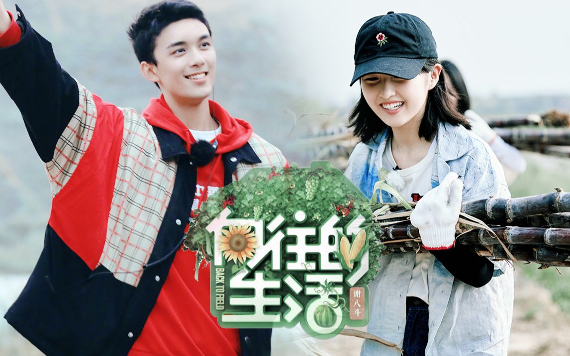 吴磊×张子枫