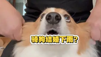 短腿V8发动基 最高时速二十一