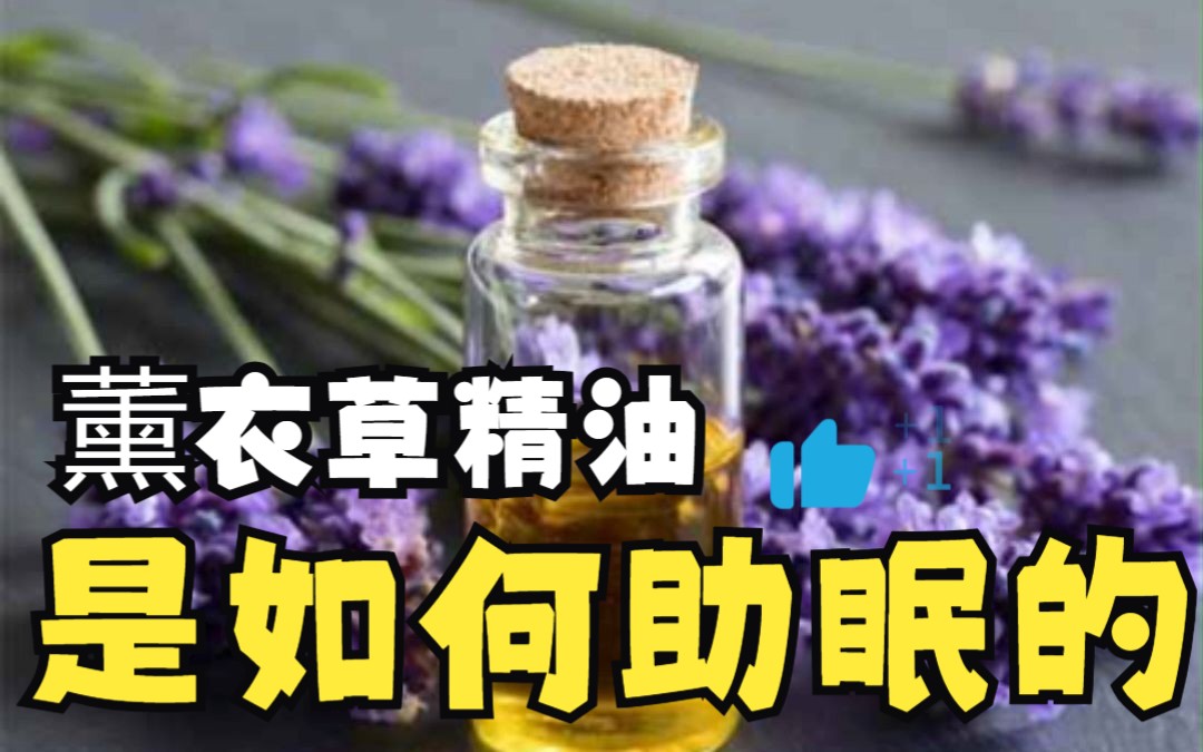 薰衣草精油为何能帮助我们改善睡眠?哔哩哔哩bilibili