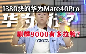 下载视频: 1380块整华为mate40Pro，麒麟9000很拉胯？！