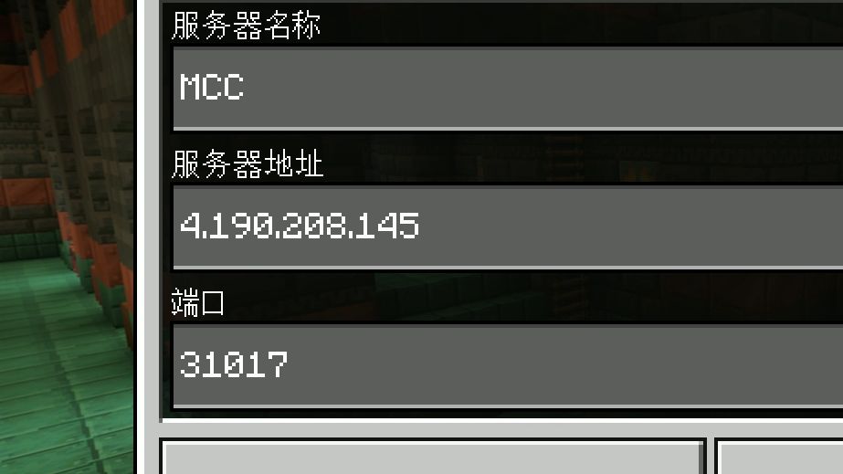 MCC服务器的IP地址哔哩哔哩bilibili