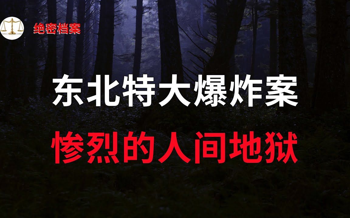 [图]东北特大爆炸案，令人震惊的巨大灾难，惨烈的人间地狱，列车上的爆炸狂徒 - 大案要案纪实录 - 绝密档案