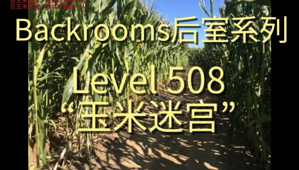 【Backrooms后室系列】Level 508  “玉米迷宫”内容+解析  在玉米迷宫,唯有你独自一人.在玉米迷宫,你并非独自一人.哔哩哔哩bilibili