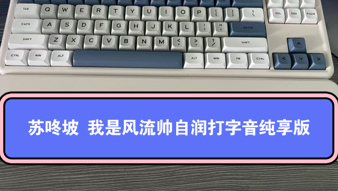 苏咚坡 我是风流帅轴自润打字音纯享版 想听声音的就看这个视频,再决定买不买吧!哔哩哔哩bilibili