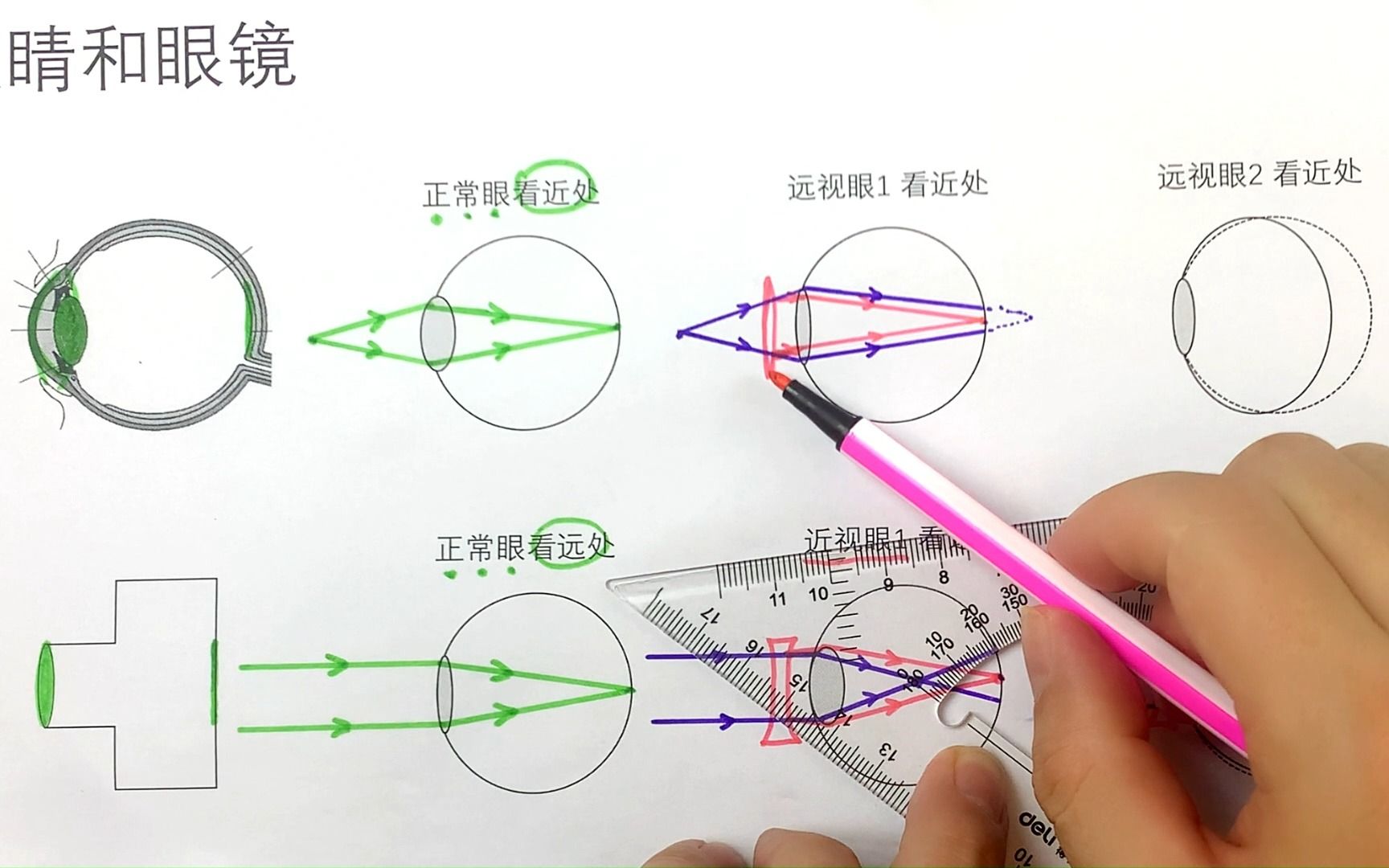 眼睛和眼镜知识详解哔哩哔哩bilibili