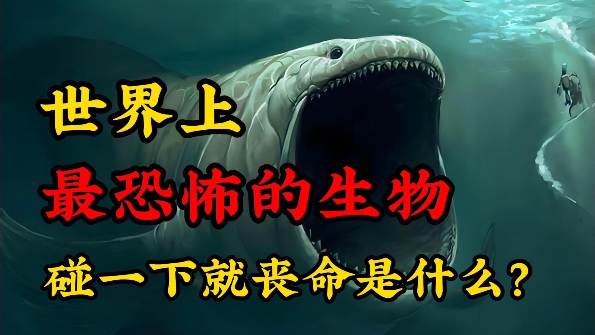 世界上最恐怖的生物碰一下就丧命