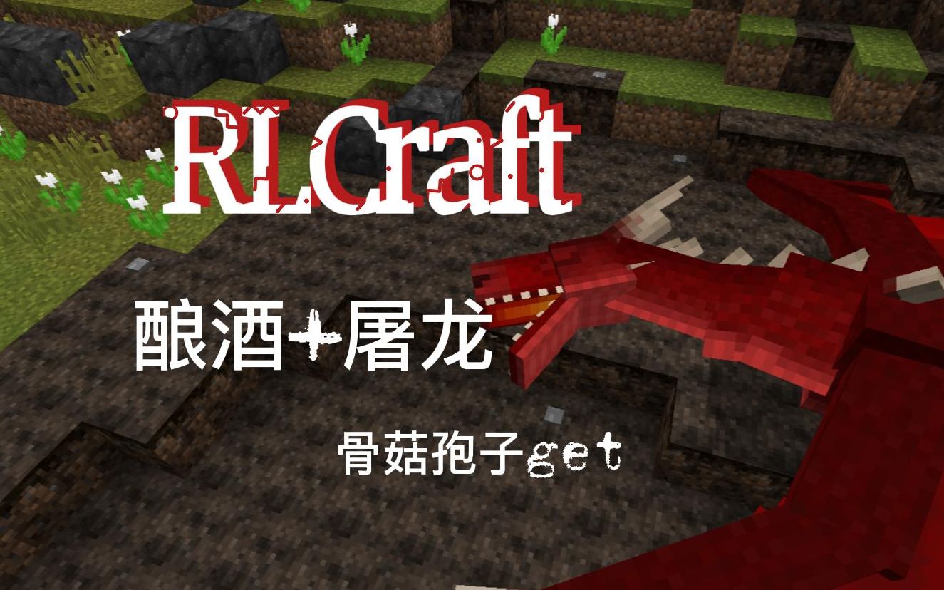 RLCraft药水流打法EP.2酿酒起步,屠龙我的世界实况