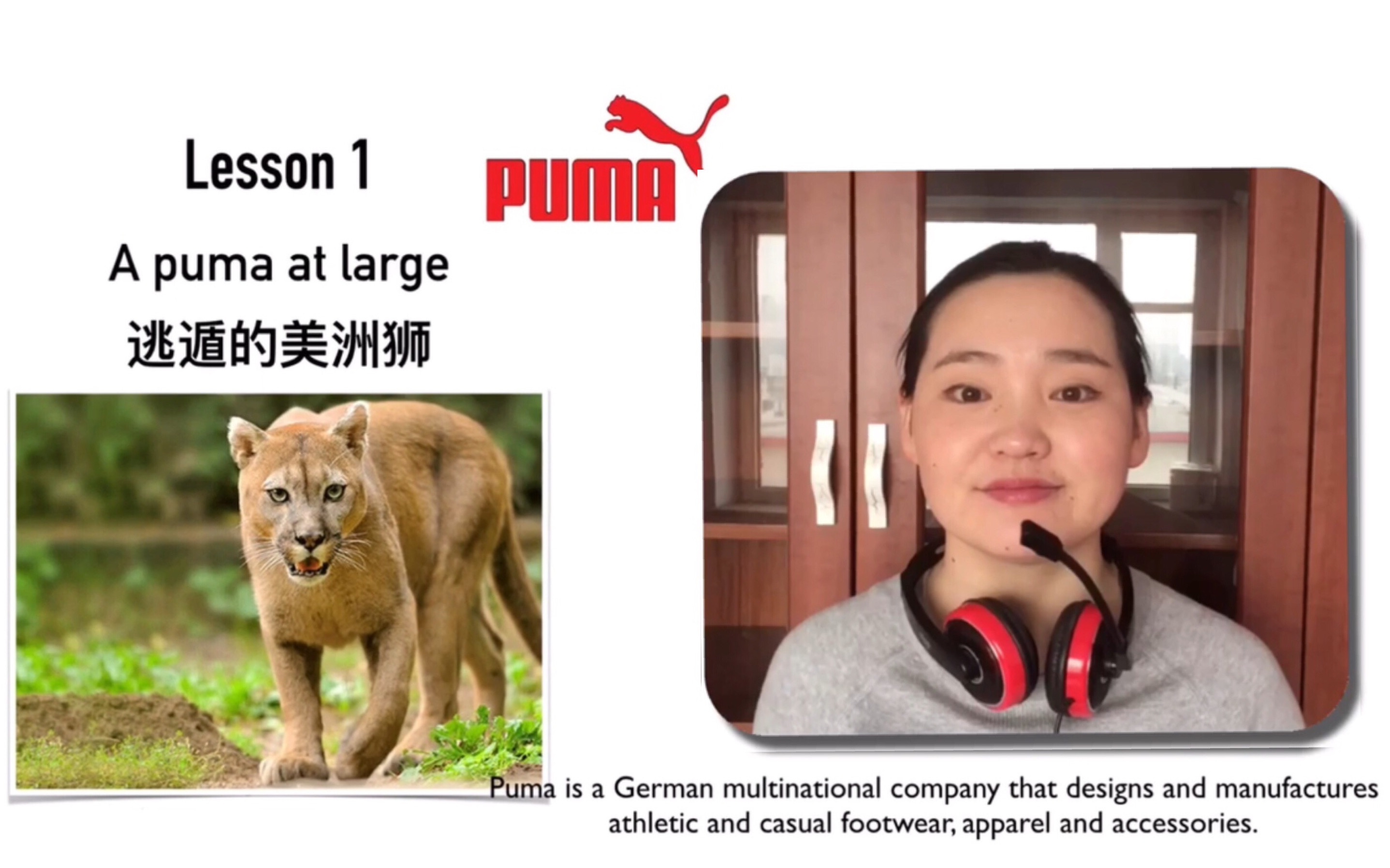[图]【小如老师】新概念英语（三）第1课 A puma at large 逃遁的美洲狮