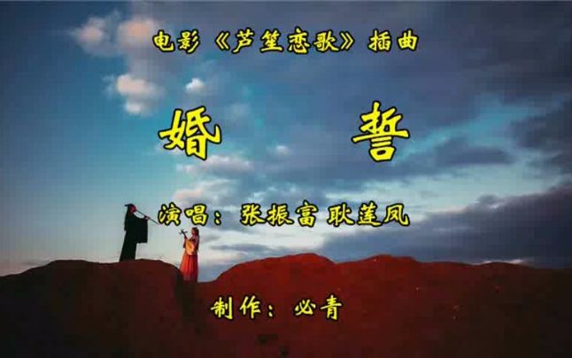 婚誓MV张振富 耿莲凤哔哩哔哩bilibili