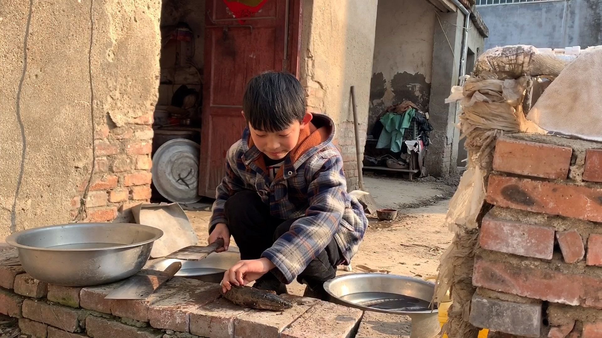 小男孩做家活务,胆子真大敢杀鱼