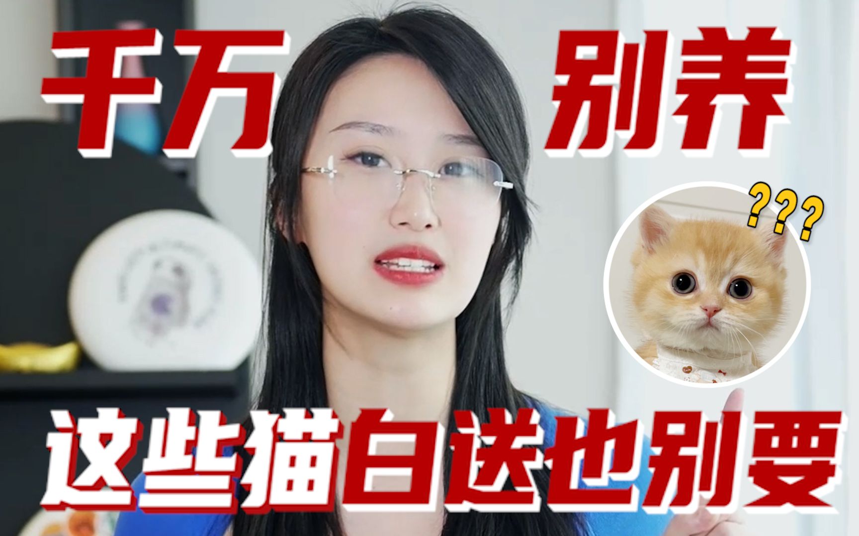 5种绝对不能养的猫𐟐𑨽𛥈™破产重则坐牢❗哔哩哔哩bilibili