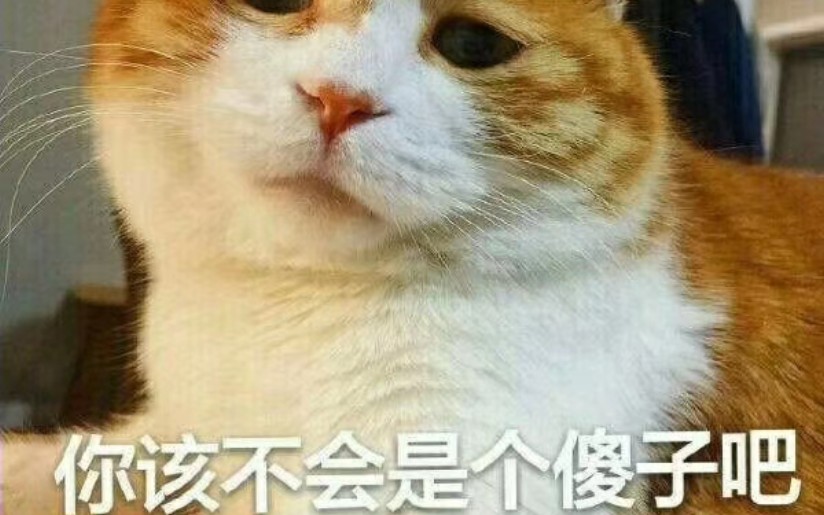 北上广不相信眼泪我不相信任何人哔哩哔哩bilibili