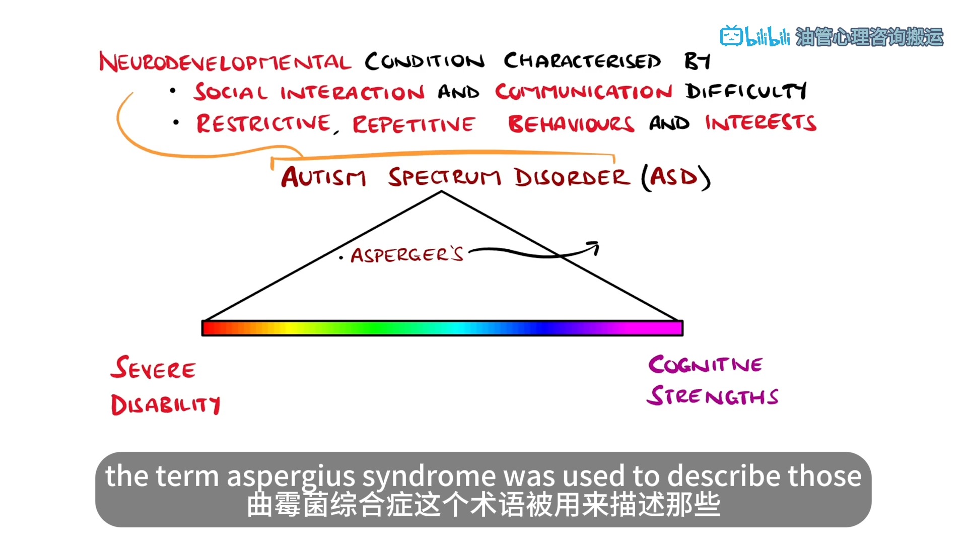 【油管搬运】ASD自闭症谱系障碍 科普硬核哔哩哔哩bilibili