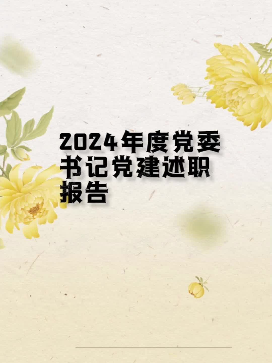 2024年度党委书记党建述职报告哔哩哔哩bilibili