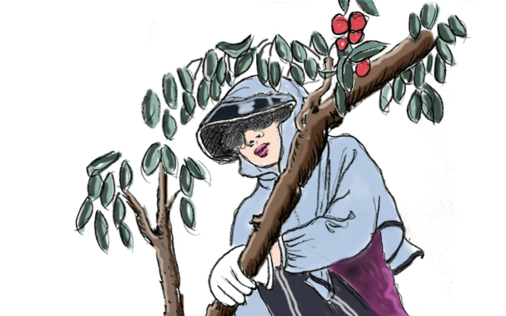 治愈简笔画_采摘荔枝的小姐姐