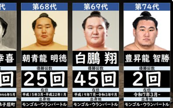 相扑73代横纲图片