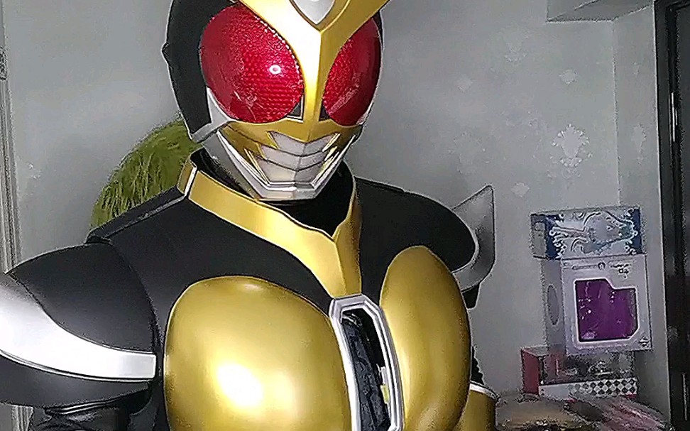 亚极陀皮套 试穿