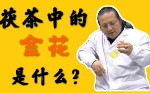 Download Video: 茯茶中的金花是什么